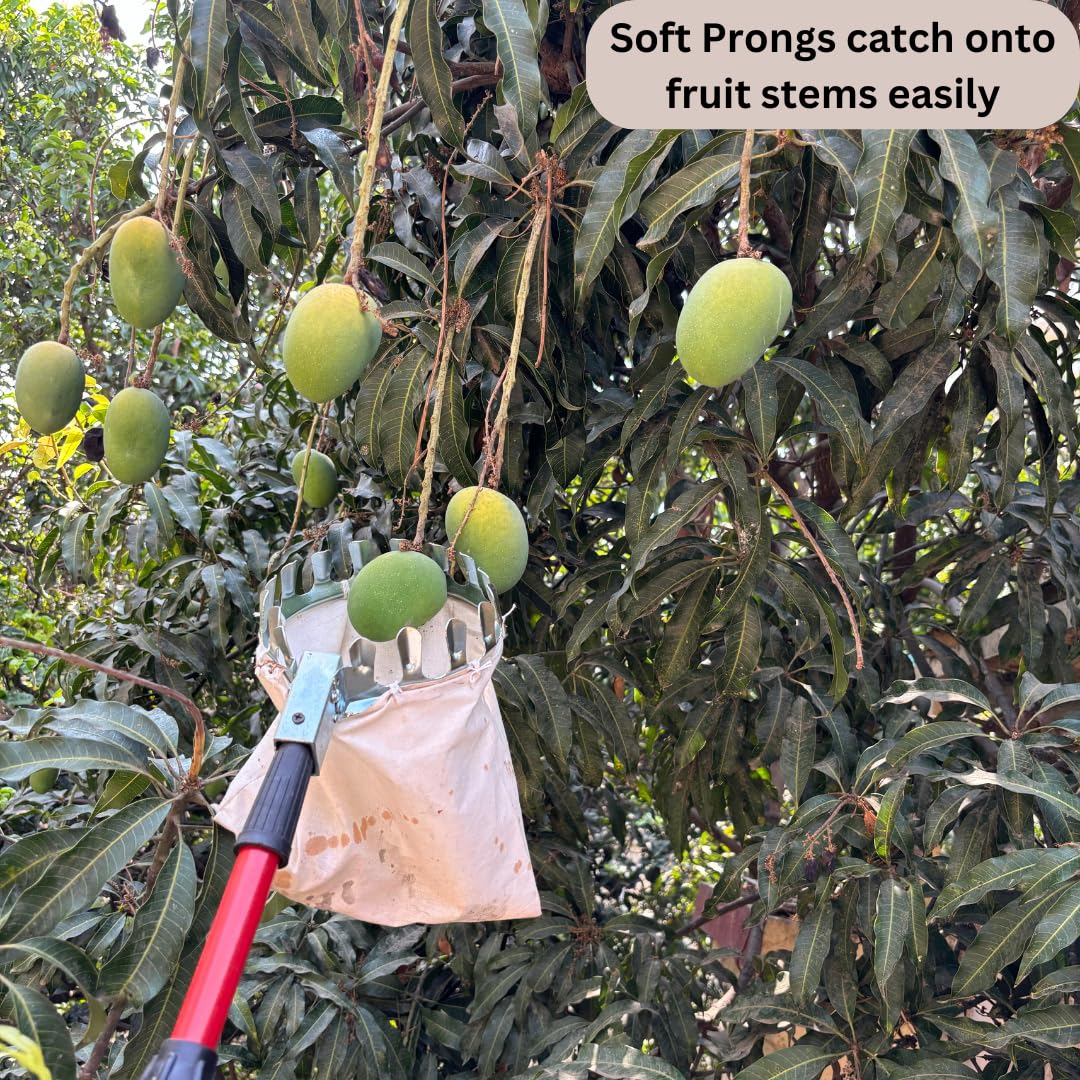 Heavy-Duty Fruit Picker Tool 🍎